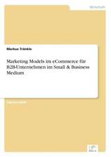 Marketing Models im eCommerce für B2B-Unternehmen im Small & Business Medium