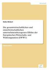 Die gesamtwirtschaftlichen und einzelwirtschaftlichen unternehmensbezogenen Effekte der Europäischen Wirtschafts- und Währungsunion (EWWU)