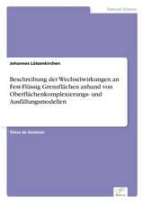 Beschreibung der Wechselwirkungen an Fest-Flüssig Grenzflächen anhand von Oberflächenkomplexierungs- und Ausfällungsmodellen