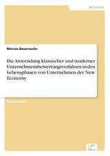 Die Anwendung klassischer und moderner Unternehmensbewertungsverfahren in den Lebensphasen von Unternehmen der New Economy