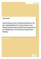 Entwicklung eines Praktikerleitfadens für das mittelständische Unternehmen zur Implementierung des Risikosmanagements als Möglichkeit zur Verbesserung seines Rating