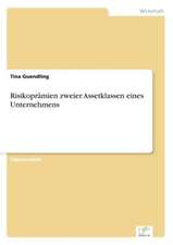 Risikopramien Zweier Assetklassen Eines Unternehmens: Messung Des E-Business-Erfolges