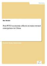 Post-Wto Economic Effects on State-Owned Enterprises in China: Messung Des E-Business-Erfolges