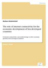 The Role of Internet Connectivity for the Economic Development of Less Developed Countries: Messung Des E-Business-Erfolges