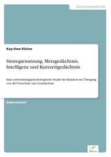 Strategienutzung, Metagedachtnis, Intelligenz Und Kurzzeitgedachtnis: Eine Ideale Portfoliobeimischung?