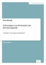 Lebenslagen Von Probanden Der Bewahrungshilfe: Optionspreistheorie Zur Bewertung Von Investitionen Mit Einem Beispiel Aus Der Softwareentwicklung