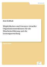 Moglichkeiten Und Grenzen Virtueller Organisationsstrukturen Fur Die Mitarbeiterfuhrung Und Die Leistungserstellung: Legal & Economical Aspects