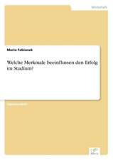 Welche Merkmale Beeinflussen Den Erfolg Im Studium?: Goodwill and Other Intangible Assets