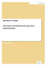 Alternative Risikofinanzierung Uber Kapitalmarkte: Goodwill and Other Intangible Assets