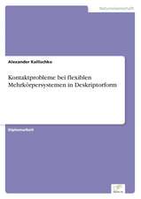 Kontaktprobleme Bei Flexiblen Mehrkorpersystemen in Deskriptorform: The Effects of Prejudice and Power on Information Seeking, Employee Evaluation, Task Assignment, and Estimates of Empl