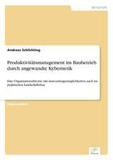 Produktivitätsmanagement im Baubetrieb durch angewandte Kybernetik