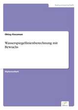 Wasserspiegellinienberechnung Mit Bewuchs: Ein Multi-Ziel-Optimierungsansatz