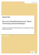 Die Neue Arbeitsforderung Nach Hartz - Umsetzung Und Auswirkungen: Ein Multi-Ziel-Optimierungsansatz