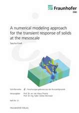 A numerical modeling approach for the transient response of solids at the mesoscale