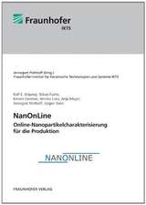 NanOnLine - Online-Nanopartikelcharakterisierung für die Produktion