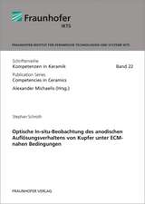 Optische In-situ-Beobachtung des anodischen Auflösungsverhaltens von Kupfer unter ECM-nahen Bedingungen