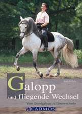 Galopp und fliegende Wechsel