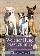 Kronz, B: Welcher Hund passt zu mir?