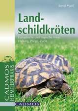 Landschildkröten