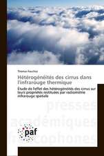 Hétérogénéités des cirrus dans l'infrarouge thermique