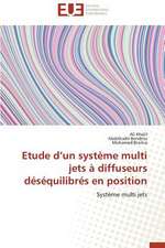 Etude D'Un Systeme Multi Jets a Diffuseurs Desequilibres En Position: Apotre Et Pretresse Des Paiens