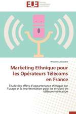 Marketing Ethnique Pour Les Operateurs Telecoms En France: Defis Et Enjeux Dans Le Processus de Decentralisation