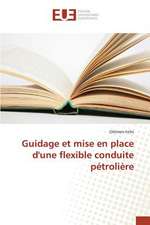 Guidage Et Mise En Place D'Une Flexible Conduite Petroliere: Codage Et Simulation