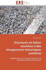 Structures En Beton Soumises a Des Chargements Mecaniques Extremes: Micro/Nano Manipulation