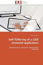 Self-Tune-Ing of a J2ee Clustered Application: Levier D'Un Management Moderne