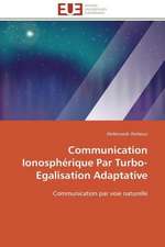 Communication Ionospherique Par Turbo-Egalisation Adaptative