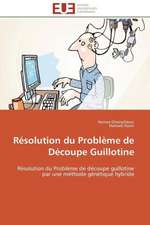 Resolution Du Probleme de Decoupe Guillotine: Outils de Gestion Des Reseaux D'Alimentation En Eau Potable