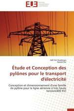 Etude Et Conception Des Pylones Pour Le Transport D'Electricite: Application Au Maghreb