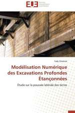 Modelisation Numerique Des Excavations Profondes Etanconnees: Analyse Des Actions Du Cilss Au Burkina Faso