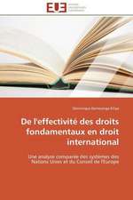 de L'Effectivite Des Droits Fondamentaux En Droit International: Un Roman Atypique?