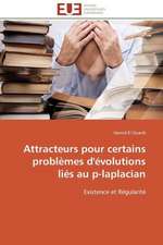 Attracteurs Pour Certains Problemes D'Evolutions Lies Au P-Laplacian: Une Boite Noire?