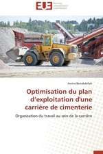 Optimisation Du Plan D'Exploitation D'Une Carriere de Cimenterie: Marches Emergents