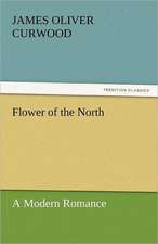 Flower of the North a Modern Romance: Stories from Life