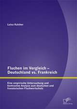 Fluchen Im Vergleich - Deutschland vs. Frankreich: Eine Empirische Untersuchung Und Kontrastive Analyse Zum Deutschen Und Franzosischen Fluchwortschat