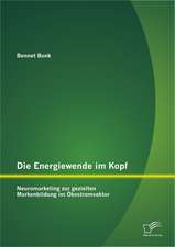 Die Energiewende Im Kopf: Neuromarketing Zur Gezielten Markenbildung Im Kostromsektor