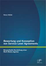 Bewertung Und Konzeption Von Service Level Agreements: Beispielhafte Darstellung Einer Multi-Media-Agentur