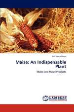 Maize: An Indispensable Plant