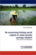 Re-examining linking social capital or state-society synergy relation