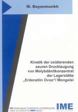 Kinetik der oxidierenden sauren Drucklaugung von Molybdänitkonzentrat der Lagerstätte 