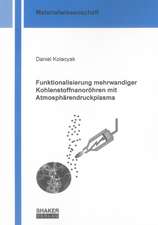 Funktionalisierung mehrwandiger Kohlenstoffnanoröhren mit Atmosphärendruckplasma