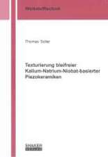 Texturierung bleifreier Kalium-Natrium-Niobat-basierter Piezokeramiken