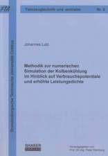 Methodik zur numerischen Simulation der Kolbenkühlung im Hinblick auf Verbrauchspotentiale und erhöhte Leistungsdichte