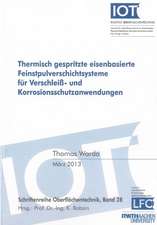 Thermisch gespritzte eisenbasierte Feinstpulverschichtsysteme für Verschleiß- und Korrosionsschutzanwendungen