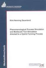 Phenomenological Process Simulation and Multiscale Tool Simulation directed to a Hybrid Forming Process