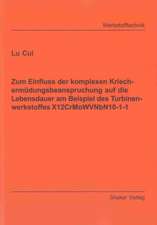 Zum Einfluss der komplexen Kriechermüdungsbeanspruchung auf die Lebensdauer am Beispiel des Turbinenwerkstoffes X12CrMoWVNbN10-1-1