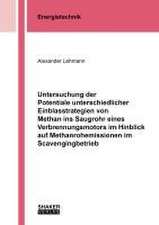 Untersuchung der Potentiale unterschiedlicher Einblasstrategien von Methan ins Saugrohr eines Verbrennungsmotors im Hinblick auf Methanrohemissionen im Scavengingbetrieb